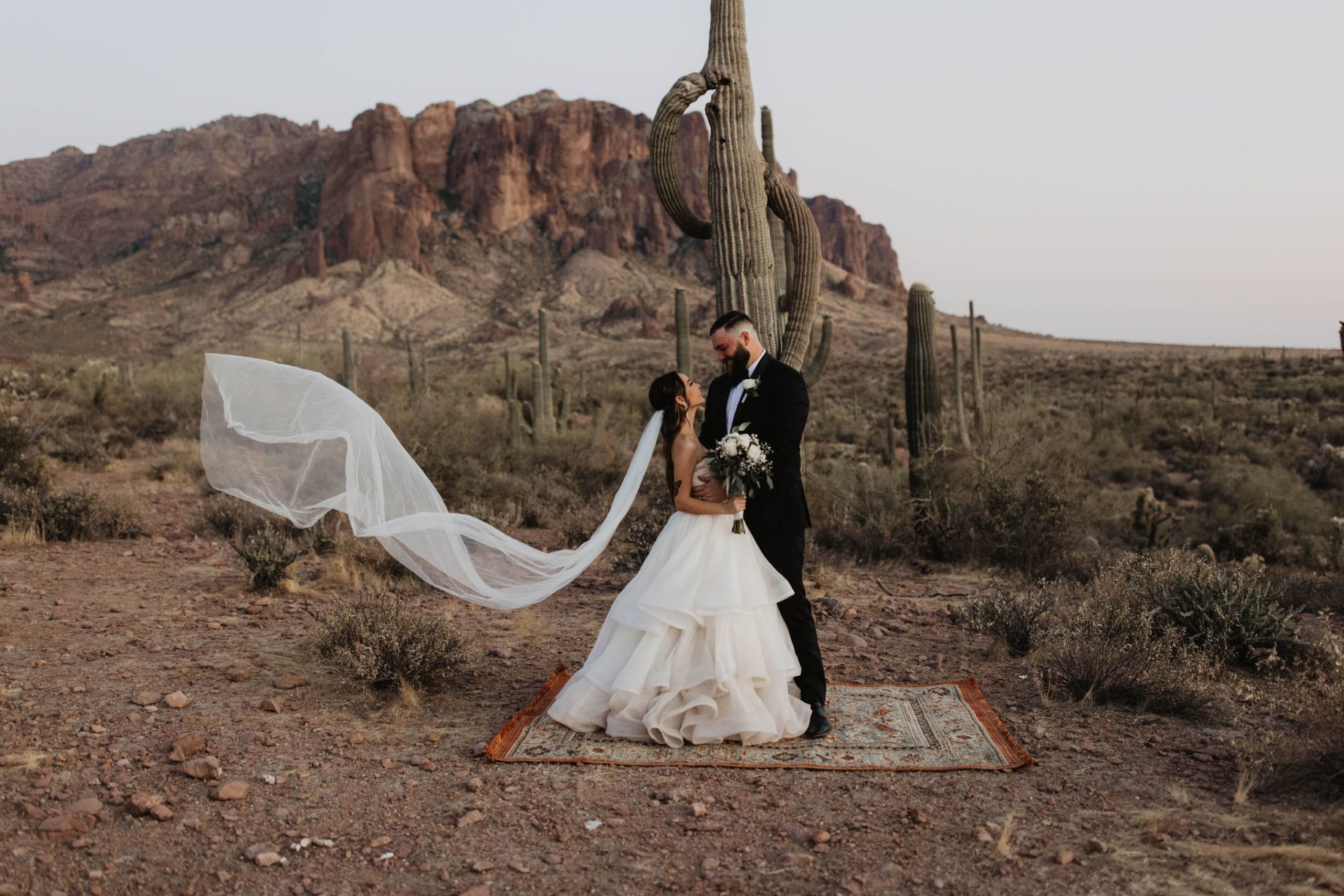 Bride and groom standing on a carpet in the Desert Botanial Gardens in front of the cacti and Arizona Mountains